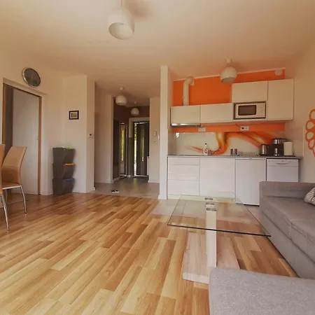 Zloty Widok 아파트 슈차이르크