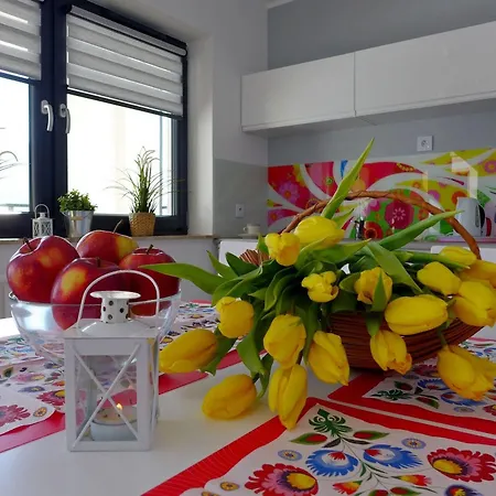 Zloty Widok Appartement *