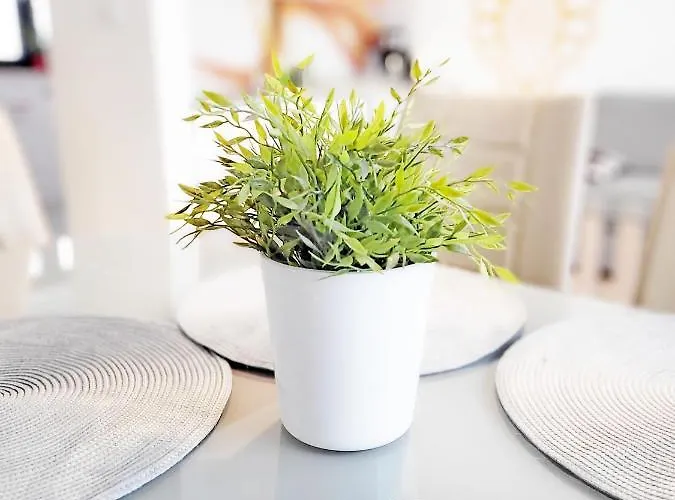 Zloty Widok * 슈차이르크