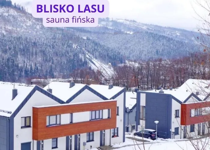 Zloty Widok 슈차이르크