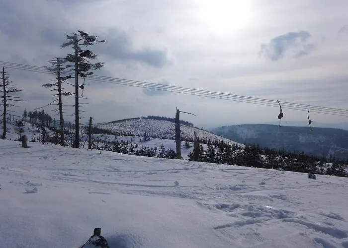 Zloty Widok شقة *